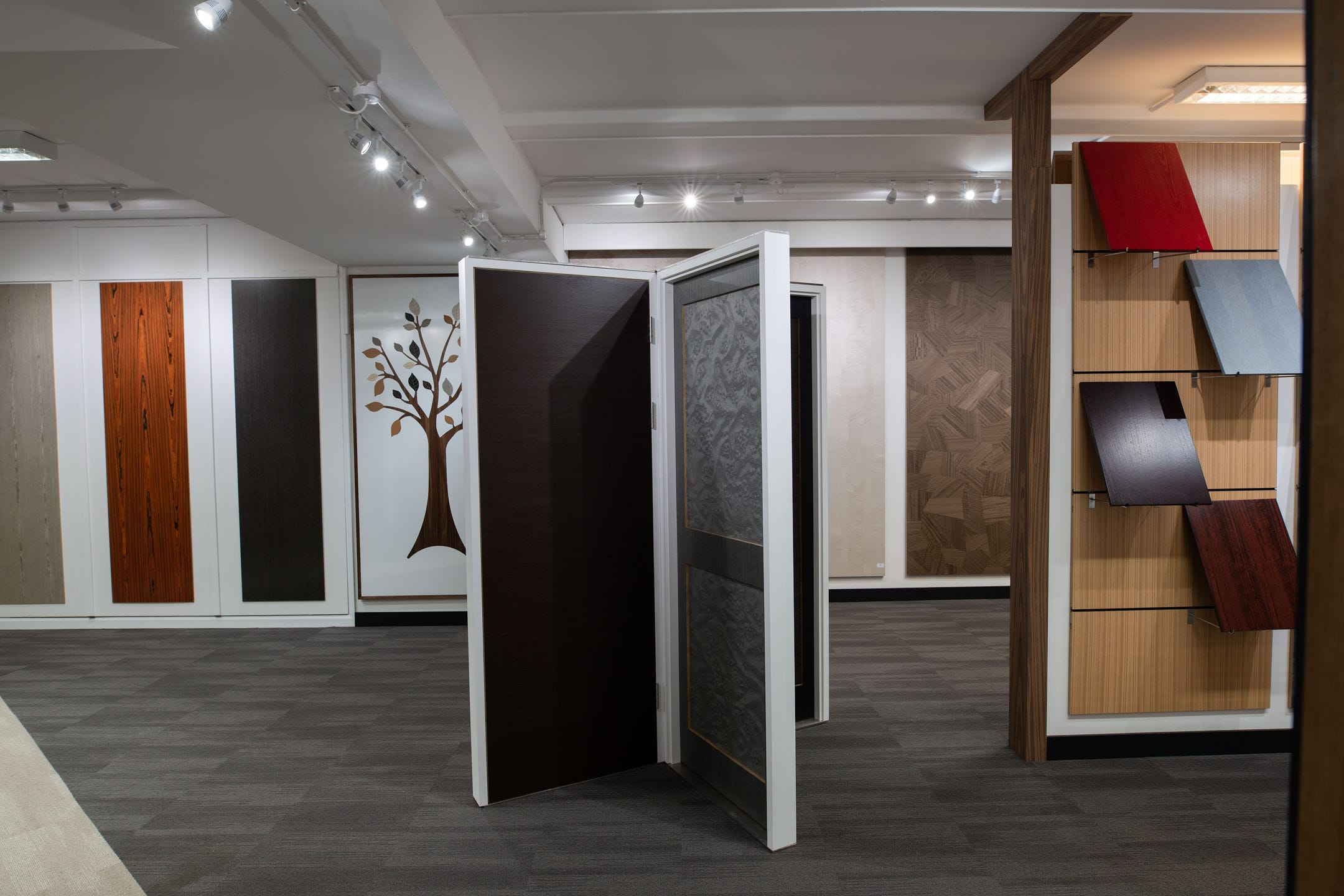 Quasar wood veneer door layons