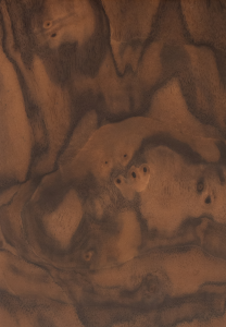Walnut Cluster