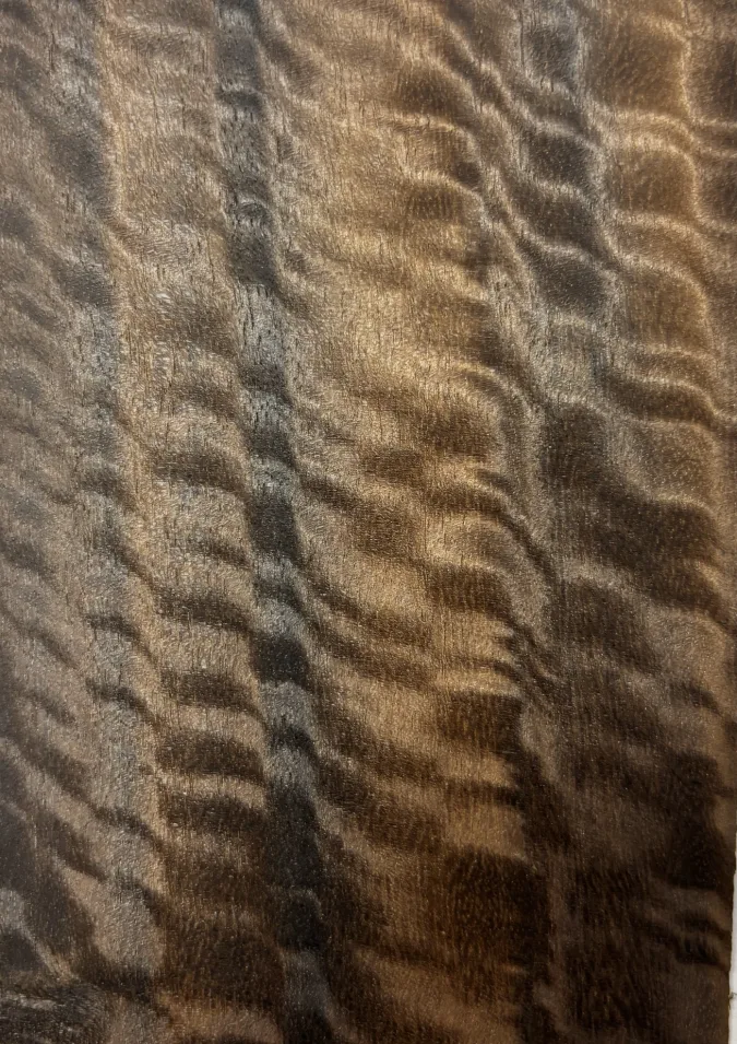 Smoked Eucalyptus Figured