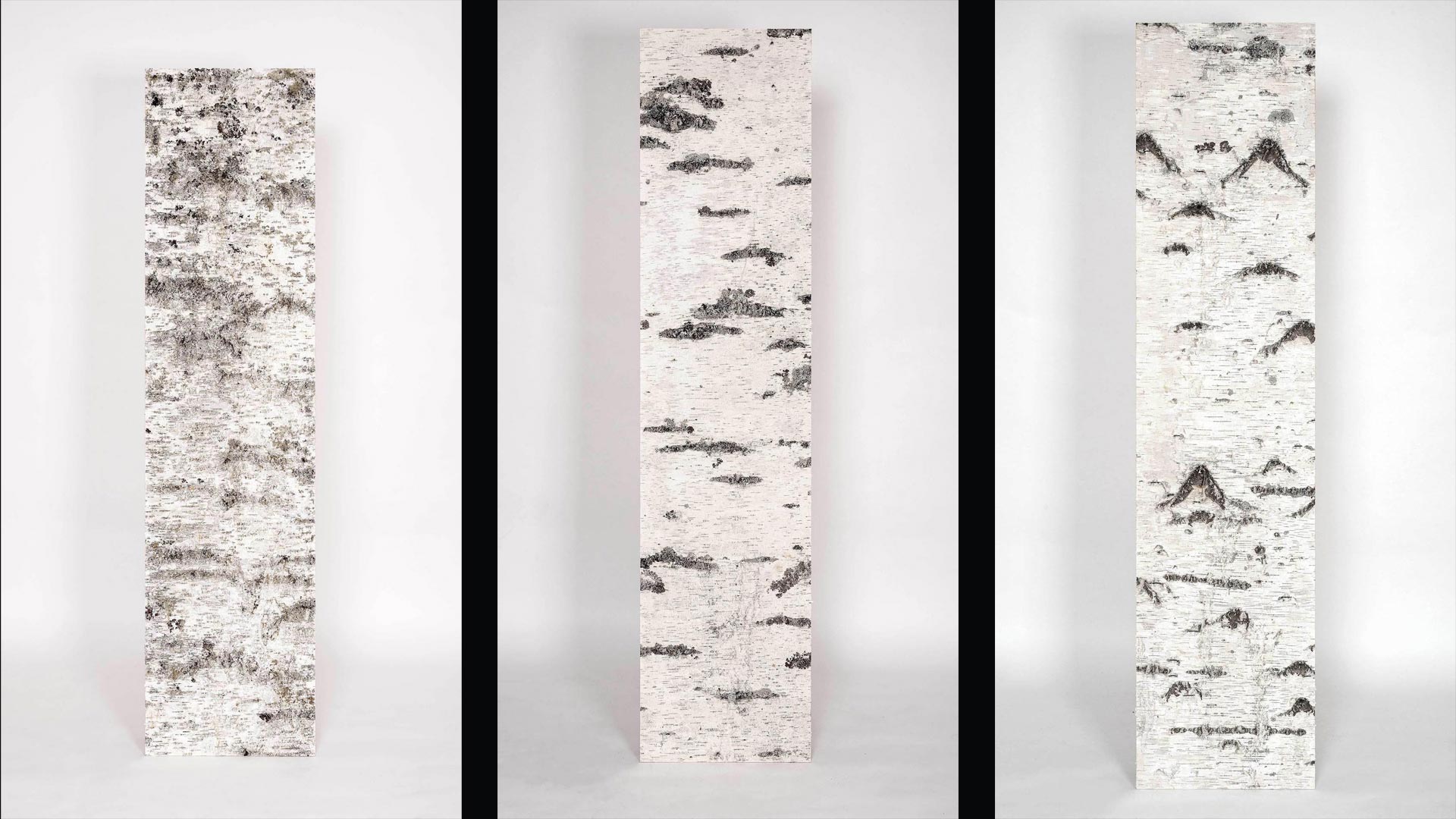 White Nature wall panel application